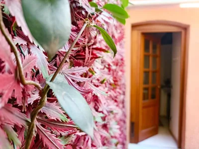 Il giardino segreto – Photos 11