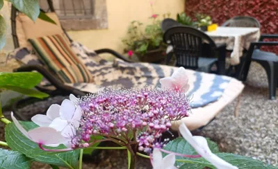 Il giardino segreto – Photos 14