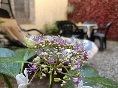 Il giardino segreto – Photos 15